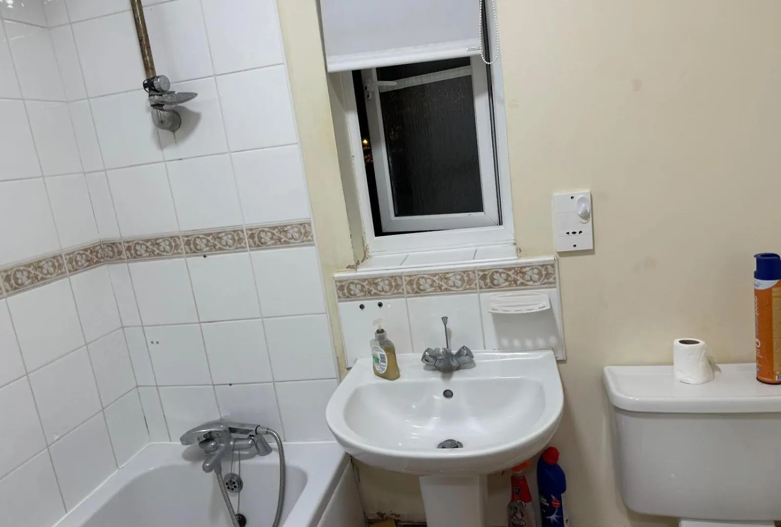 Natural Full Flat Near Station With Private Toilet Shower Kitchen In Central London Apartment