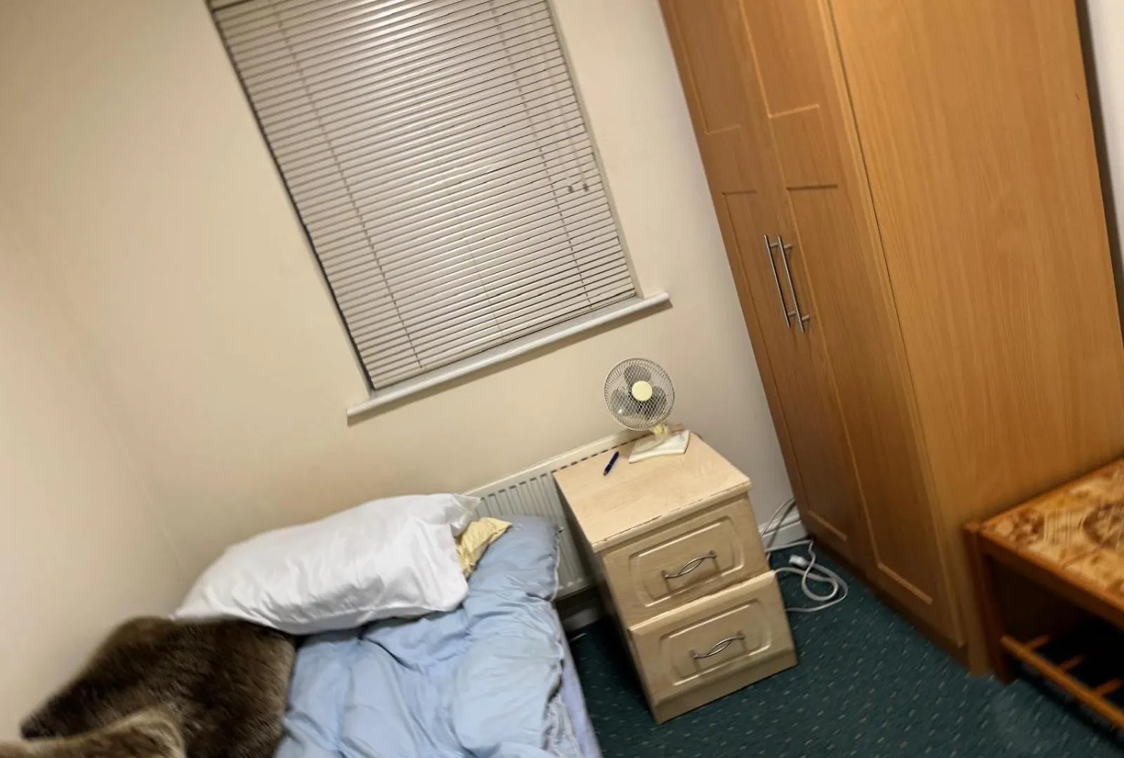 Natural Full Flat Near Station With Private Toilet Shower Kitchen In Central London Apartment